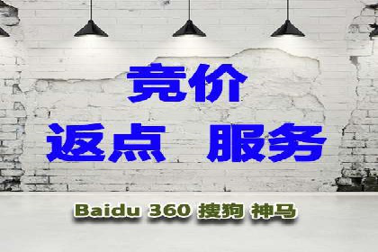网络推广与竞价策略实战案例